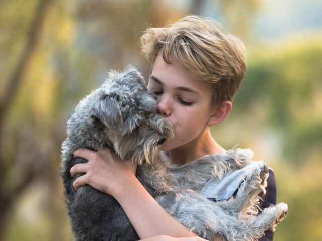 Chlapec se psem v náručí, přátelství
